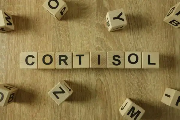 The Hidden Connection: How Stress Shapes Your Fitness and Body Composition 2 Image saying "Cortisol" and how stress West Tilbury impacts your wellbeing and bodies shape